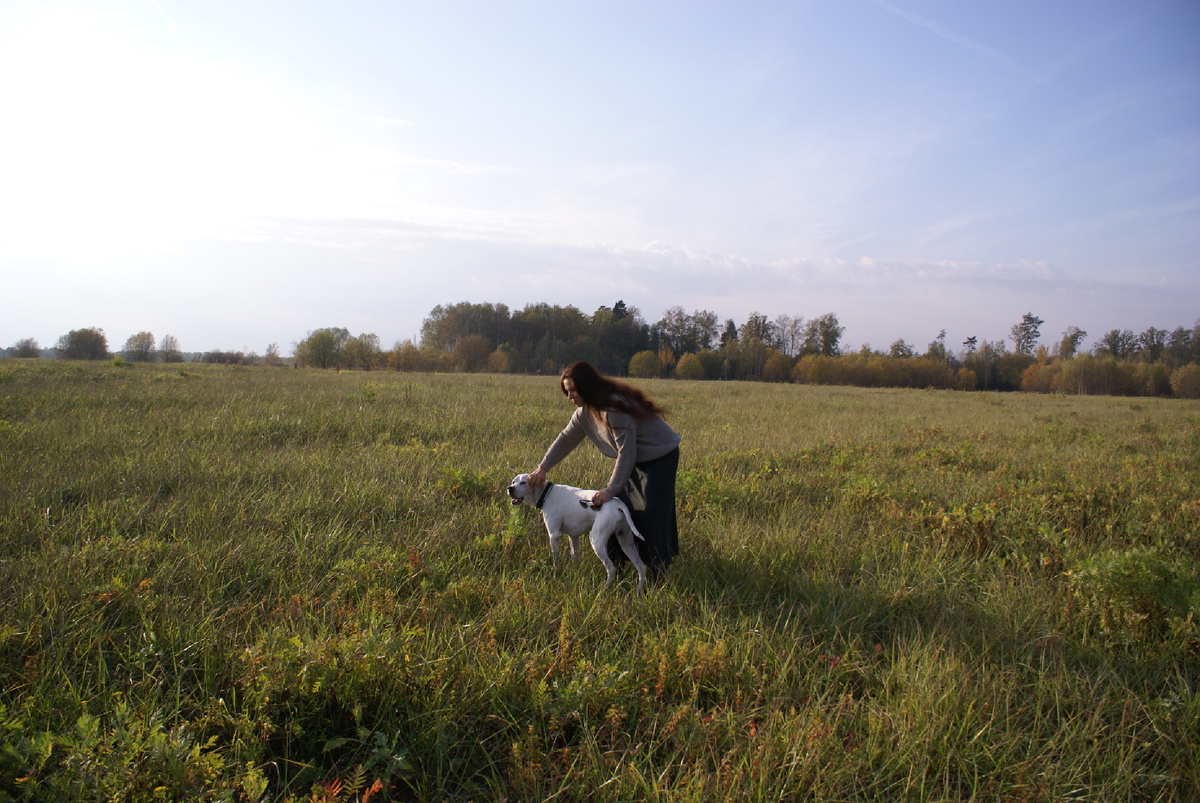 Красильцева Татьяна с собакой в поле. Мы круглый год здесь тренируемся, только зимой на лыжах, а летом без них