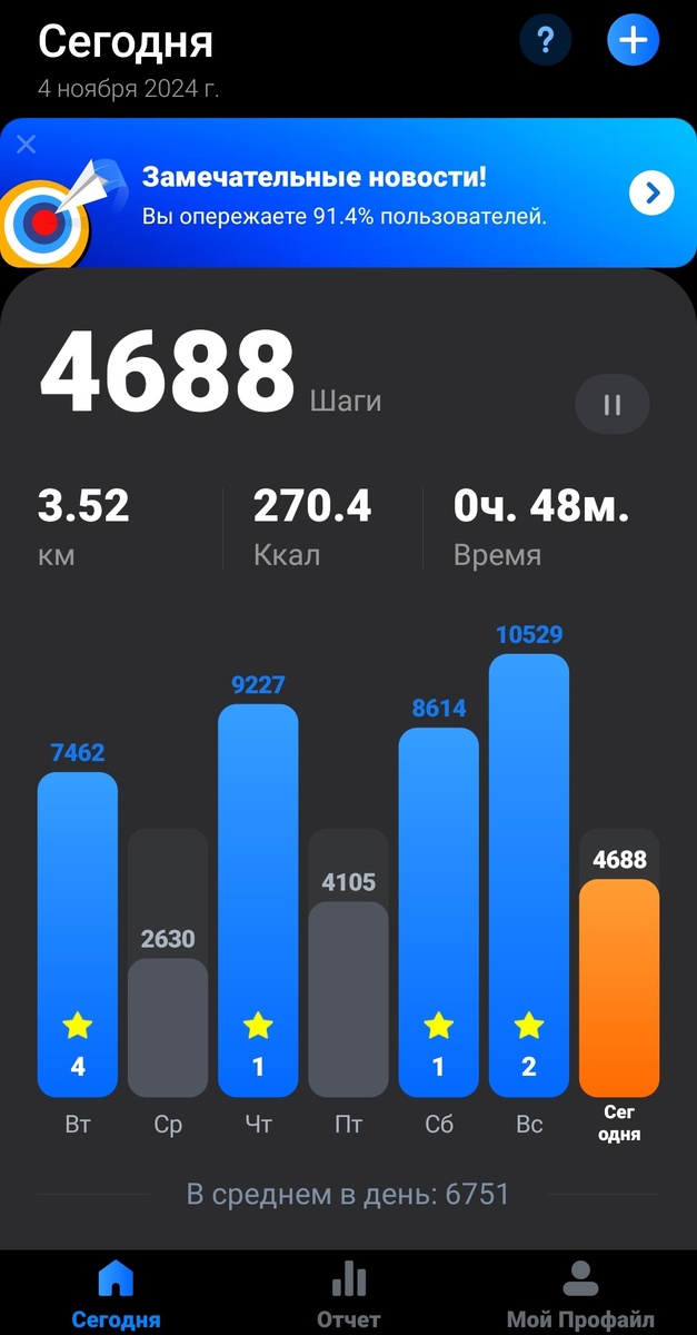 Фото автора. 04.11.2024 г.