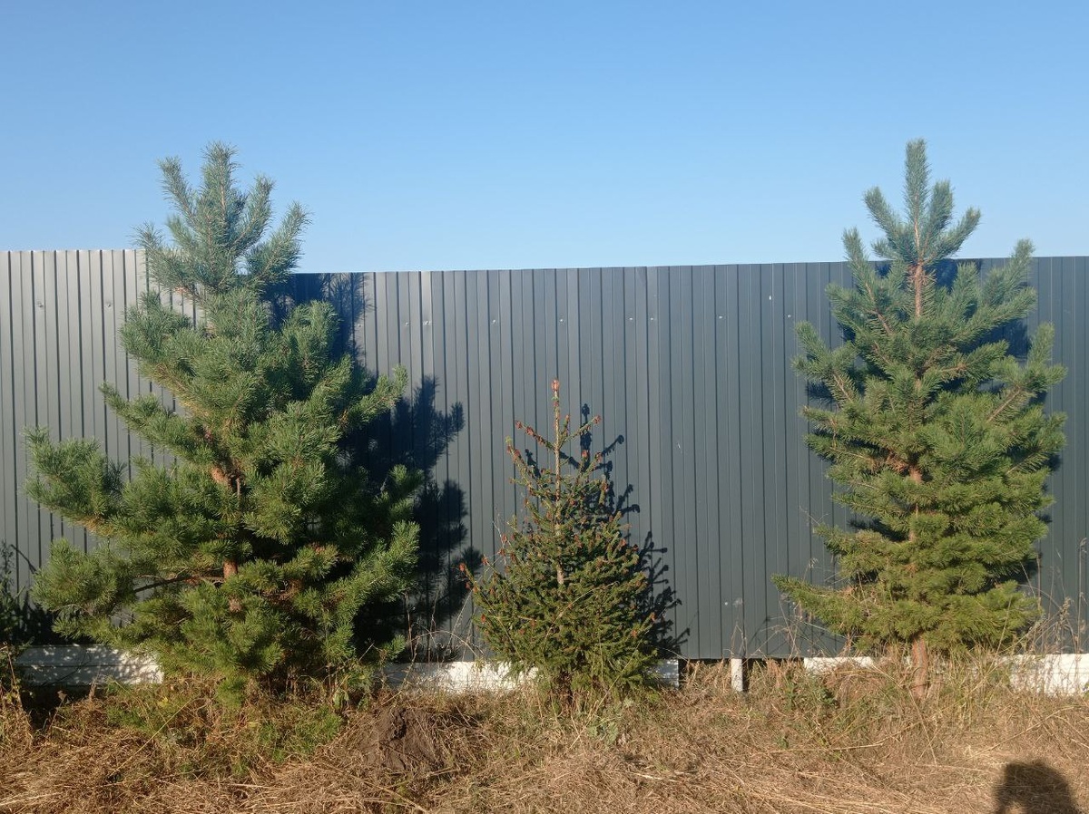 Фотография автора