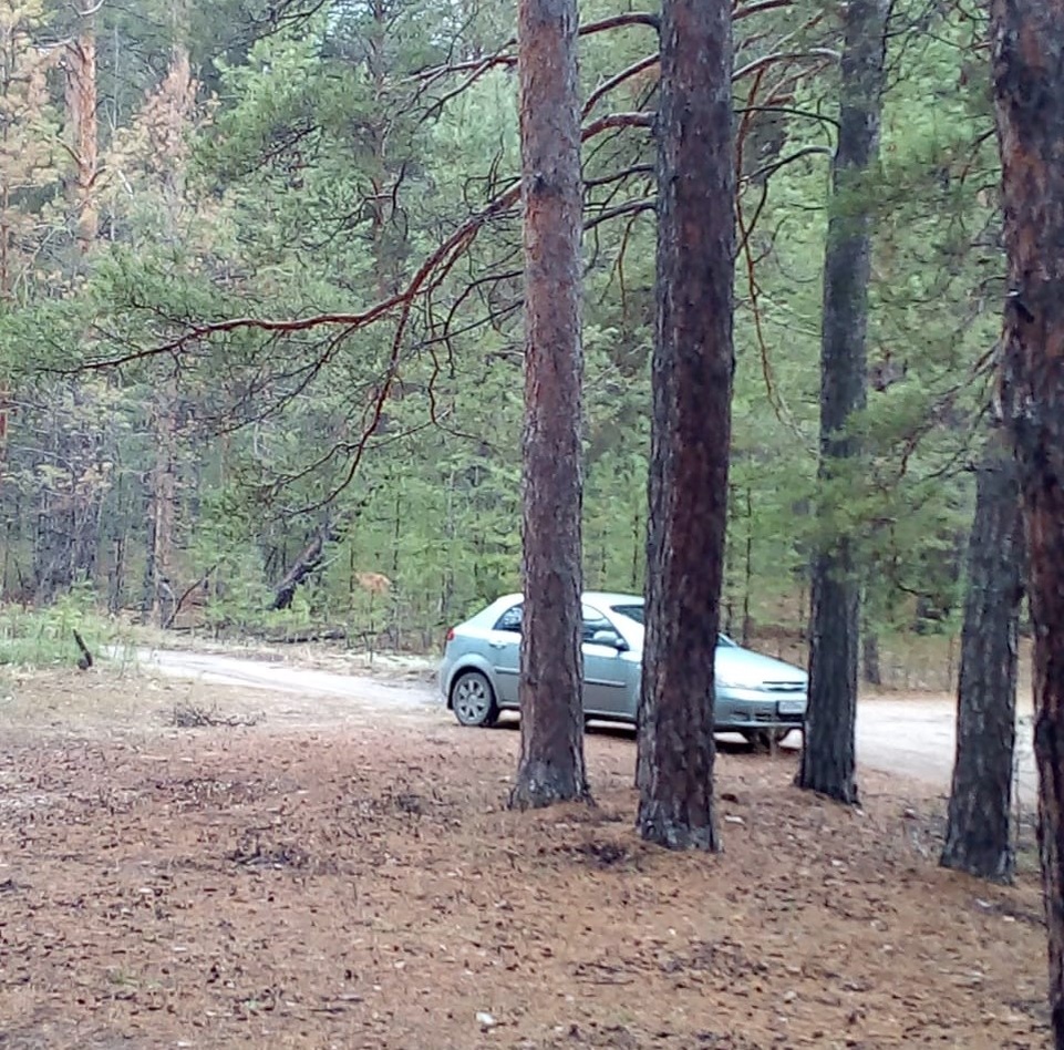 Что взять с собой в машину для комфортного путешествия