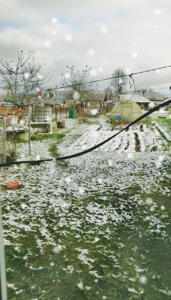 Первый снег