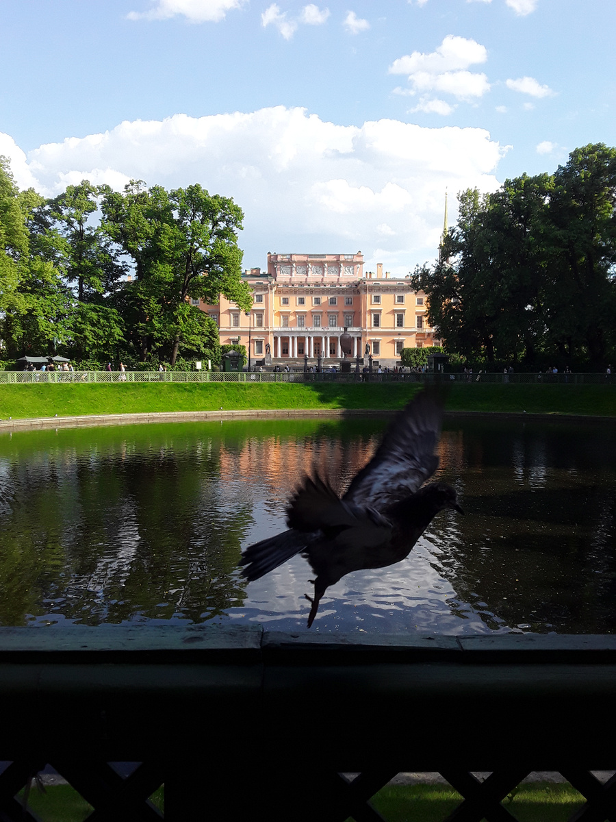 Летний сад, вид на Михайловский замок
