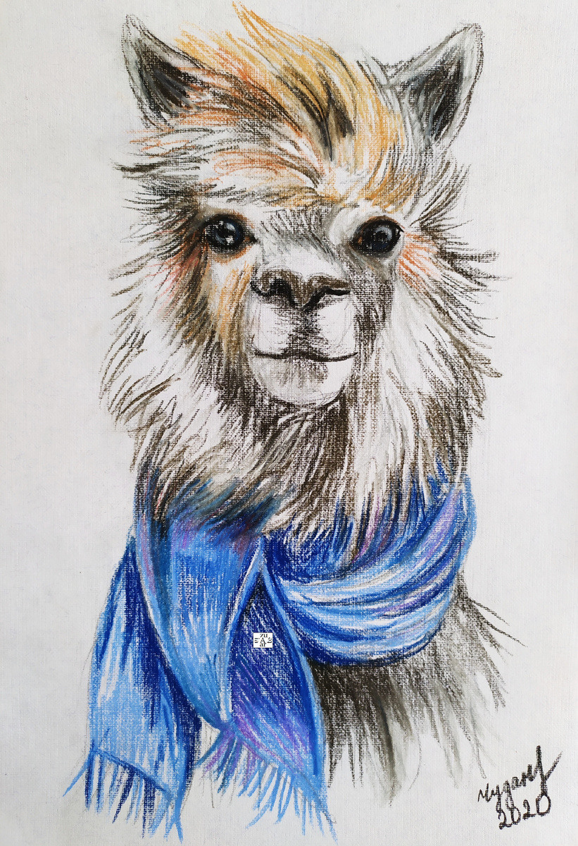 Альбом В мире животных. 22