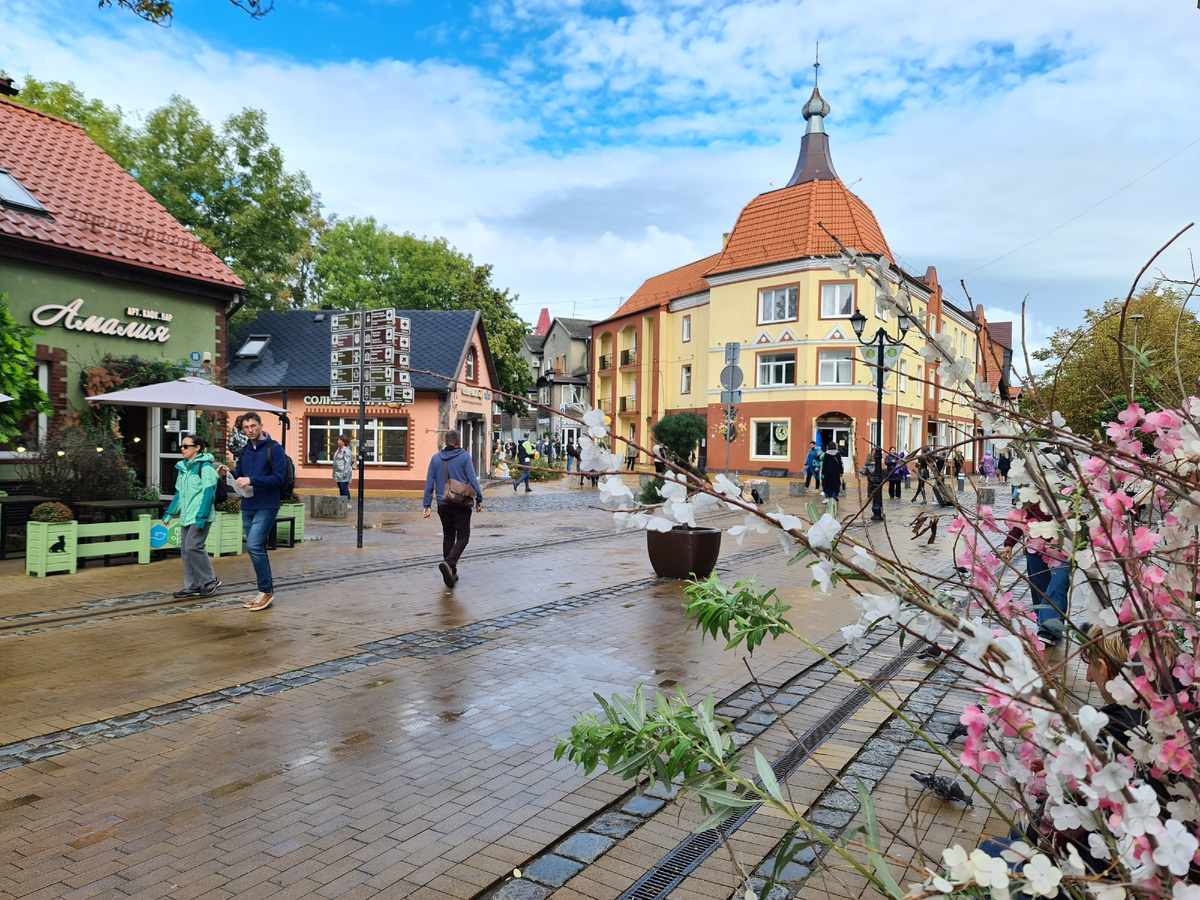 Зеленоградск, фото автора