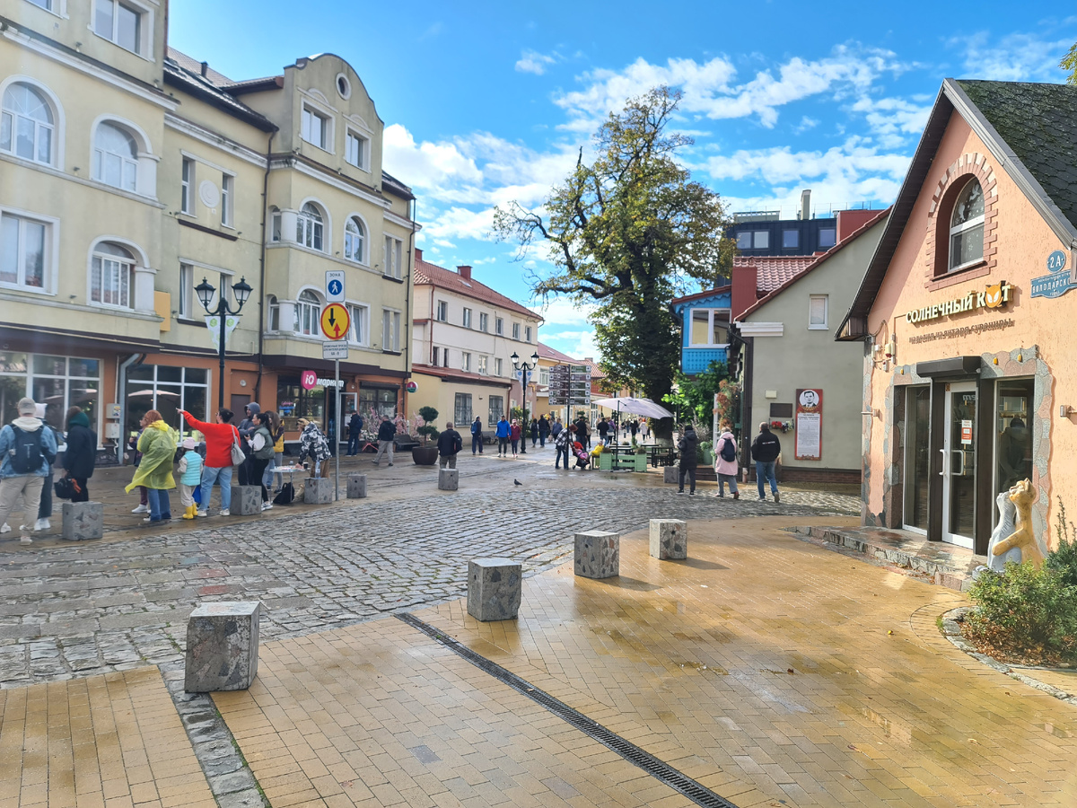 Зеленоградск, фото автора