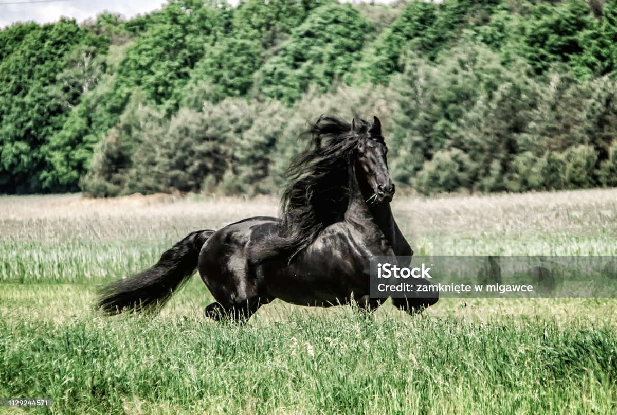 - Я боюсь призраков, вампиров, привидений.
- Почему? Они сделали тебе что-то плохое?