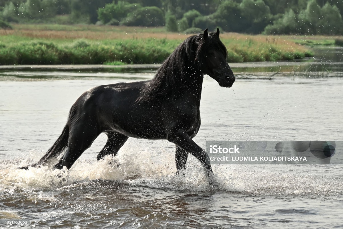 Каждый раз, когда ты одеваешься — помни, что если ты внезапно умрешь — это будет вечный прикид твоего призрака.