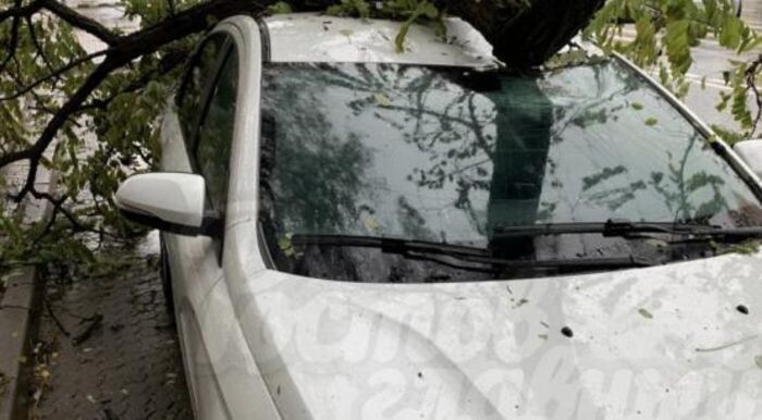 Источник фото: Ростов-главный