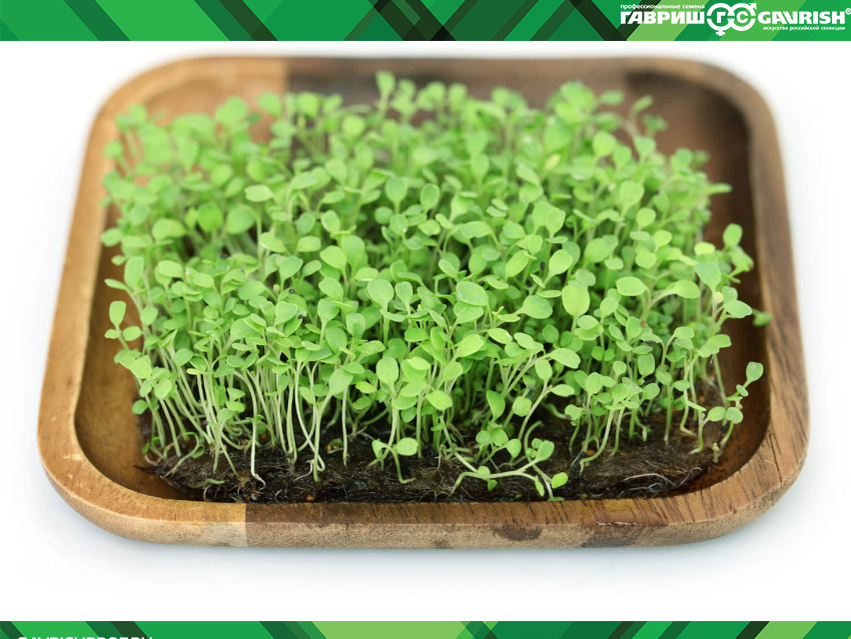 Поскольку мы производим профессиональные семена для выращивания товарных урожаев овощей, нам небезразлична и судьба овощей, то есть то, что связано с их переработкой. Ведь чем больше в нашей стране появится производств, перерабатывающих овощи и производящих из них конечные продукты питания, тем лучше будет сбыт овощей, и тем больше резона производителю овощей наращивать объём продукции. Выгода – налицо!