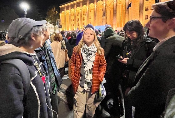     Грета Тунберг на митинге оппозиции в Тбилиси
