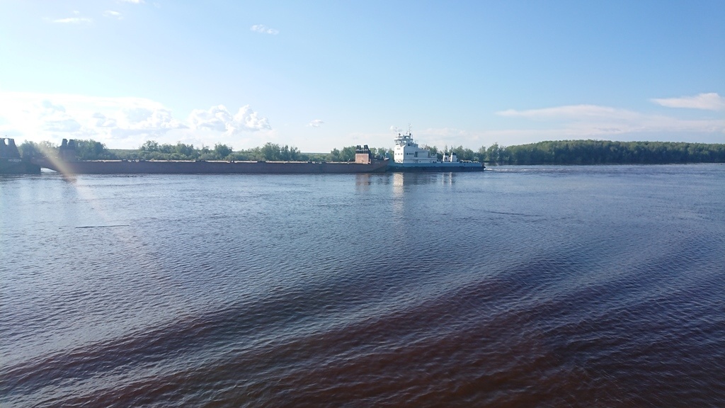 scale_1200
