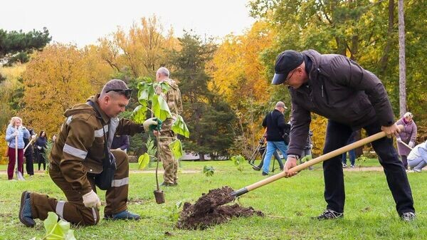    © Фото: Парки столицы