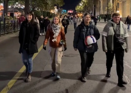    Грузины митингуют против результатов выборов. Грета Тунберг пришла им на помощь