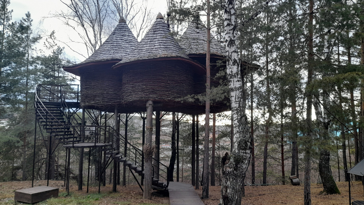 Домик на дереве