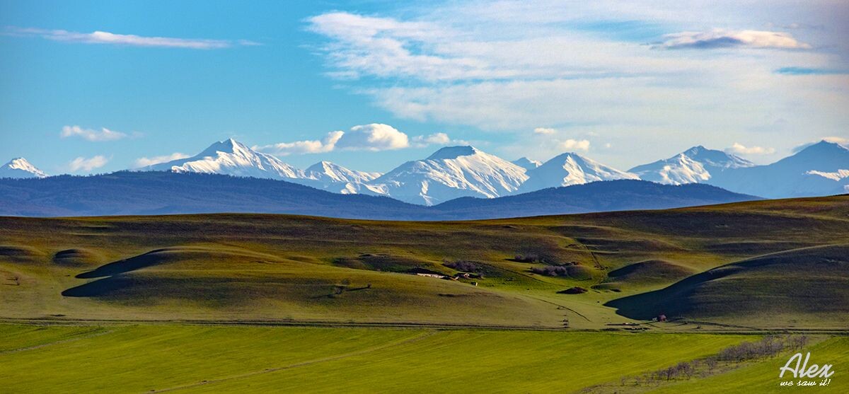 Виды в гареджийской пустыни весной