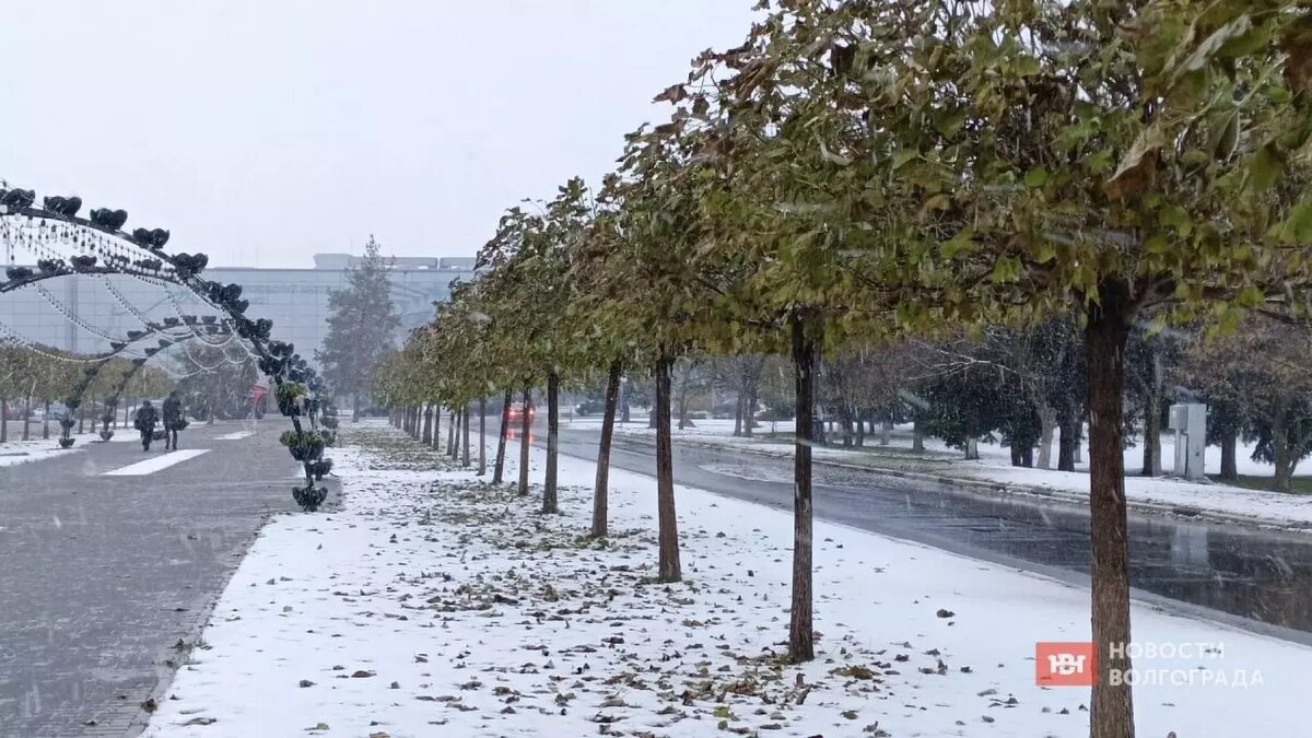     Источник: novostivolgograda.ru