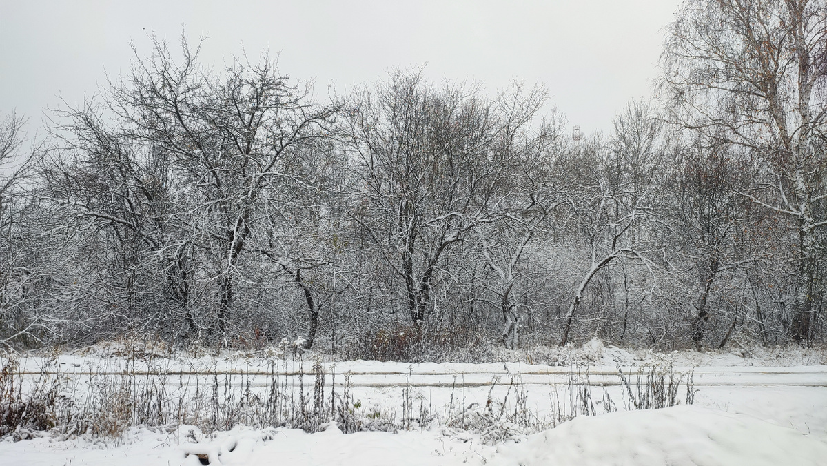 Вид с крыльца моего дома