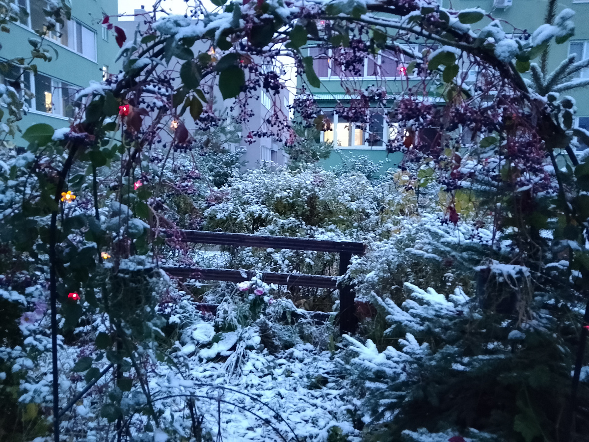 Первый снег у моего дома