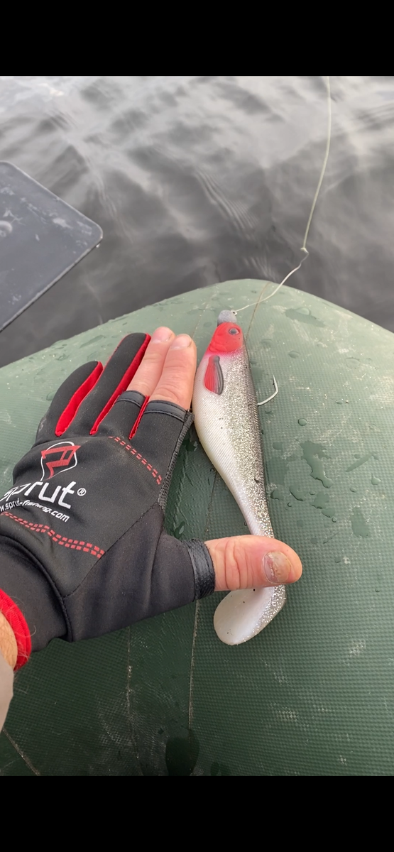 Зажарить можно.