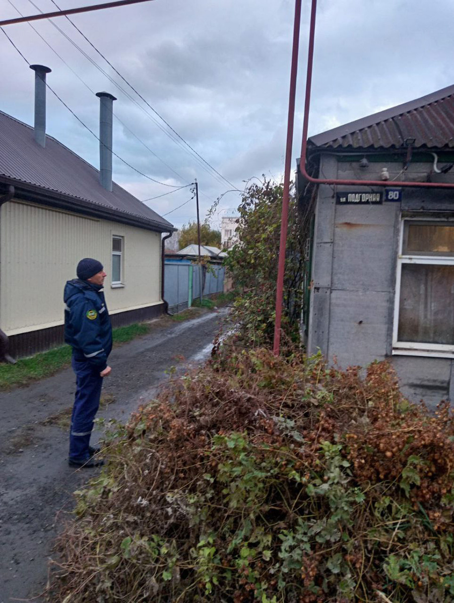    KambulovaSvetlana / Telegram