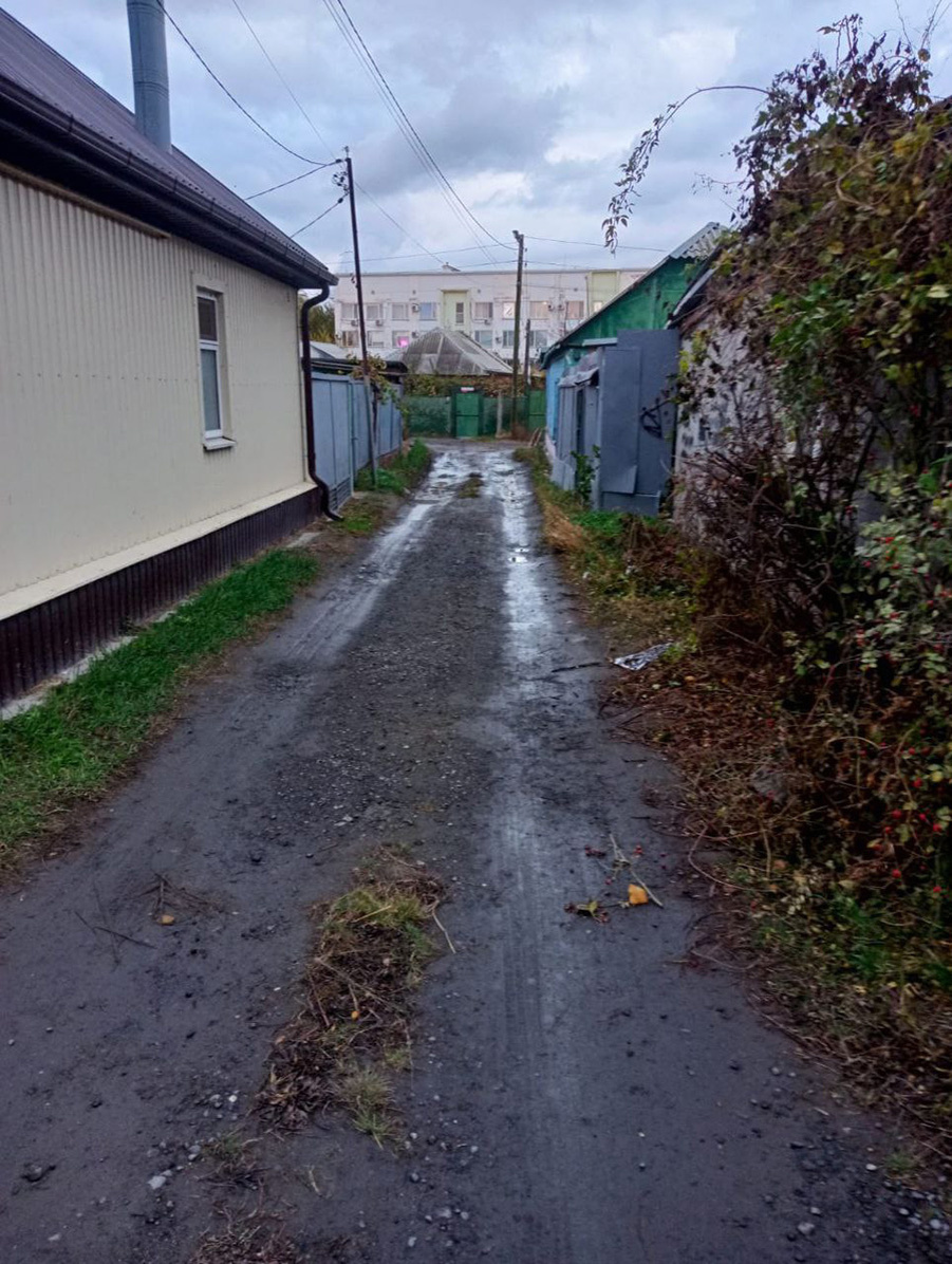    KambulovaSvetlana / Telegram