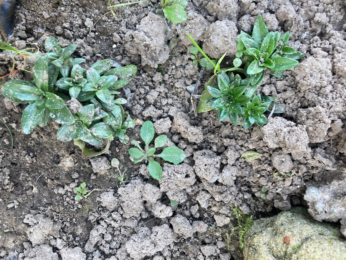 22 сентября 2024 