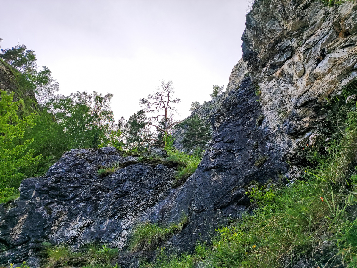 ...когда шли на охоту или просто за водичкой