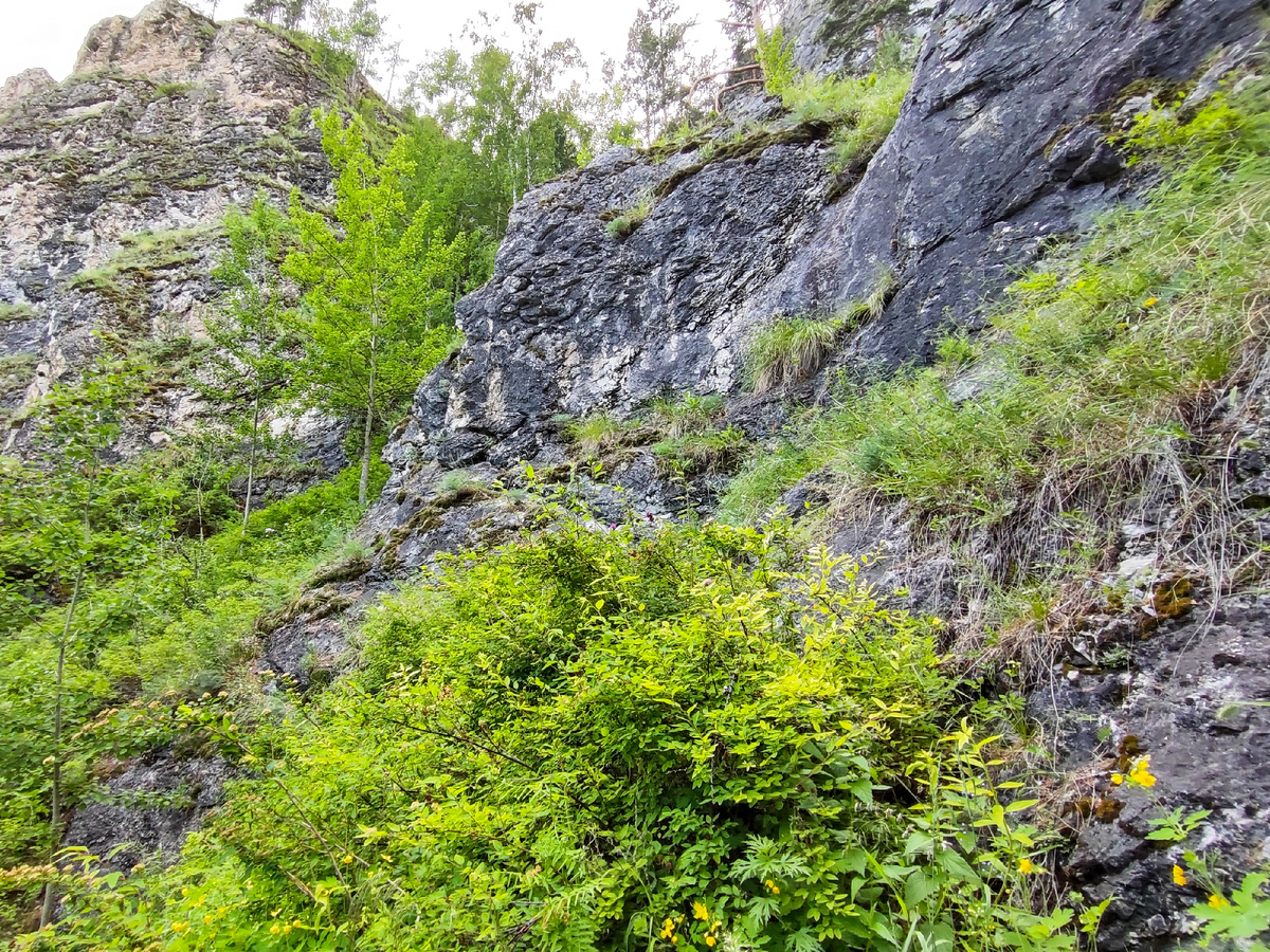 Примерно ту же картину видели древние люди...
