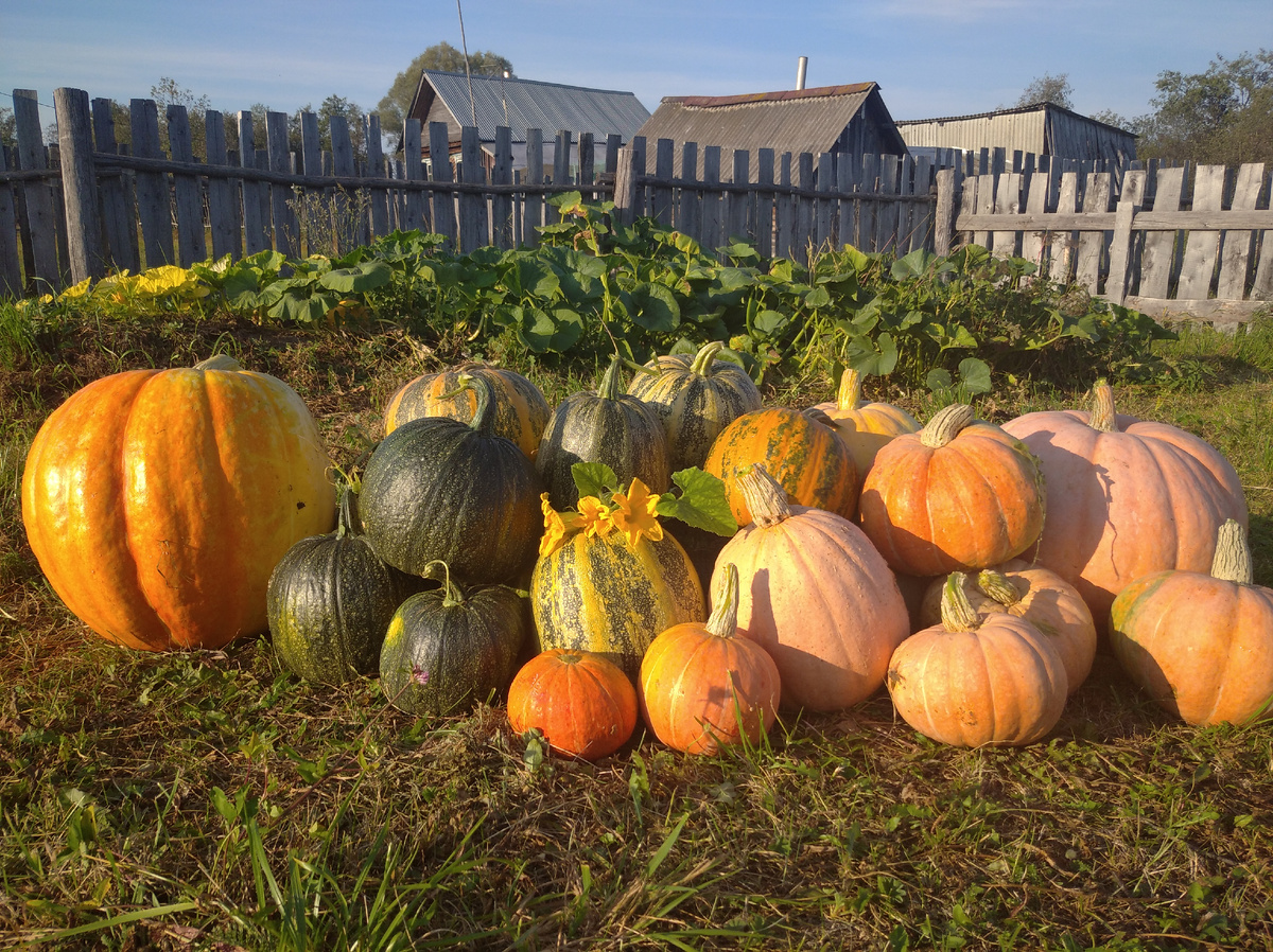 Куда деть красоту эту