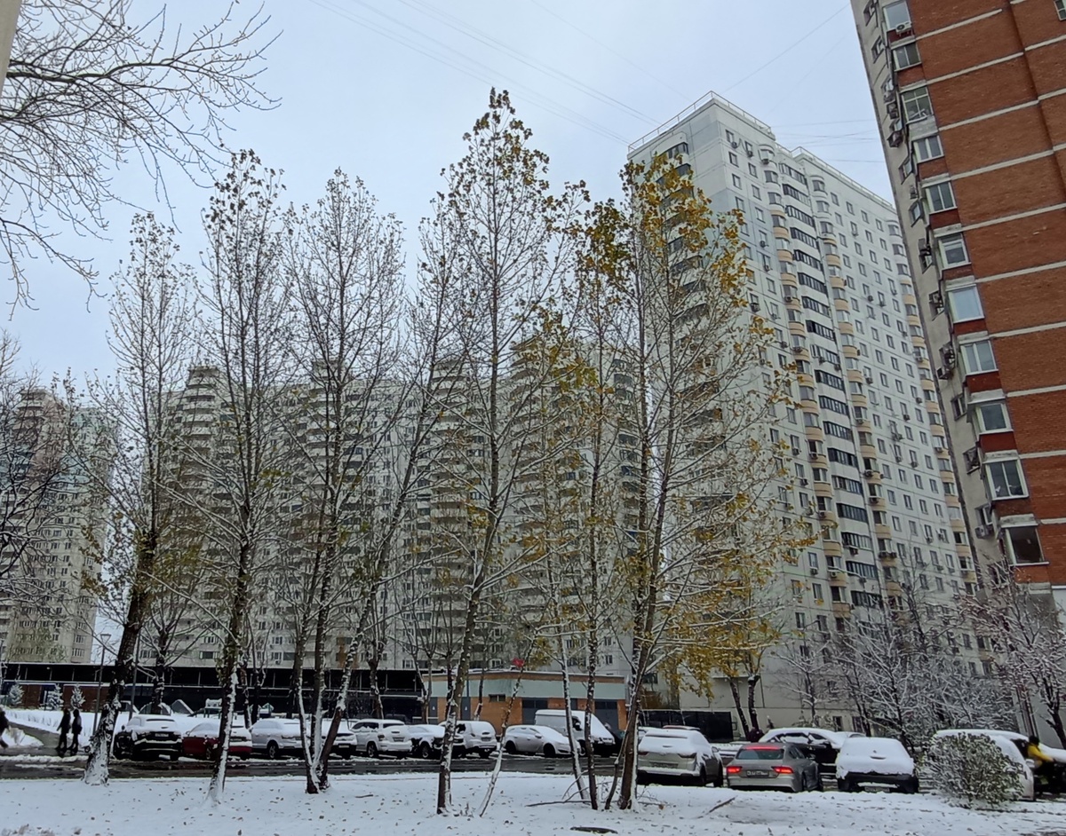 Ноябрь в Отрадном. 04.11.2024 г, понедельник. ЗДЕСЬ и далее фото автора и(или) из личного архива автора, если не указано иначе.