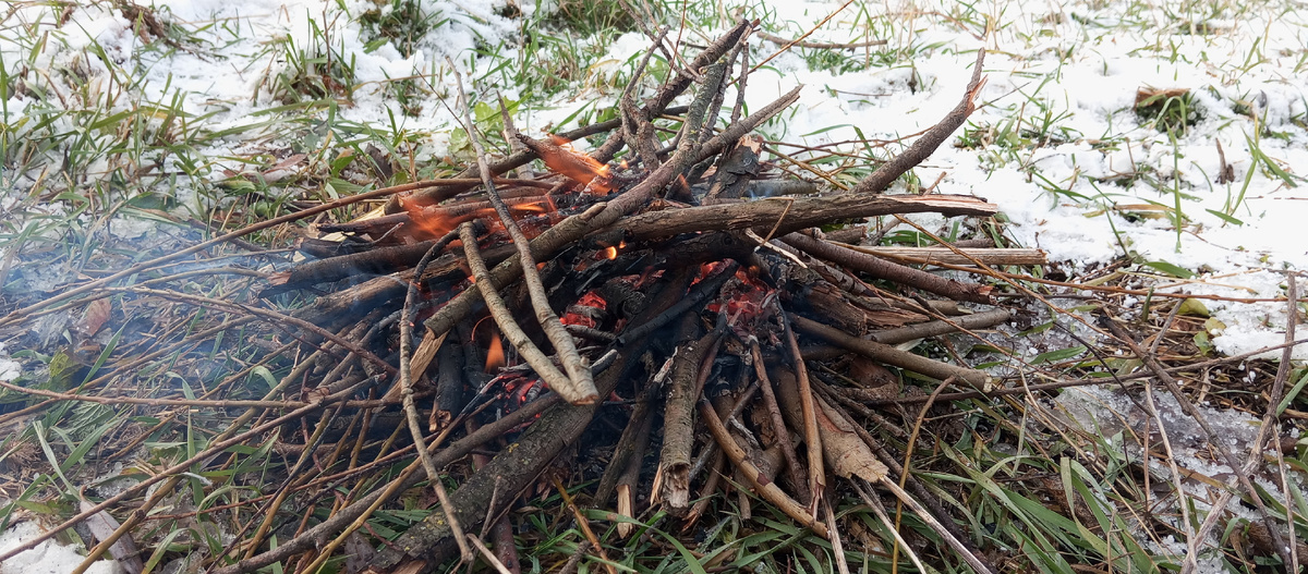 Чтобы развести вот такой костерок, мне понадобилась почти вся "Дарья Донцова" и около часа времени при том, что у меня была хорошо работающая зажигалка, а не спички.