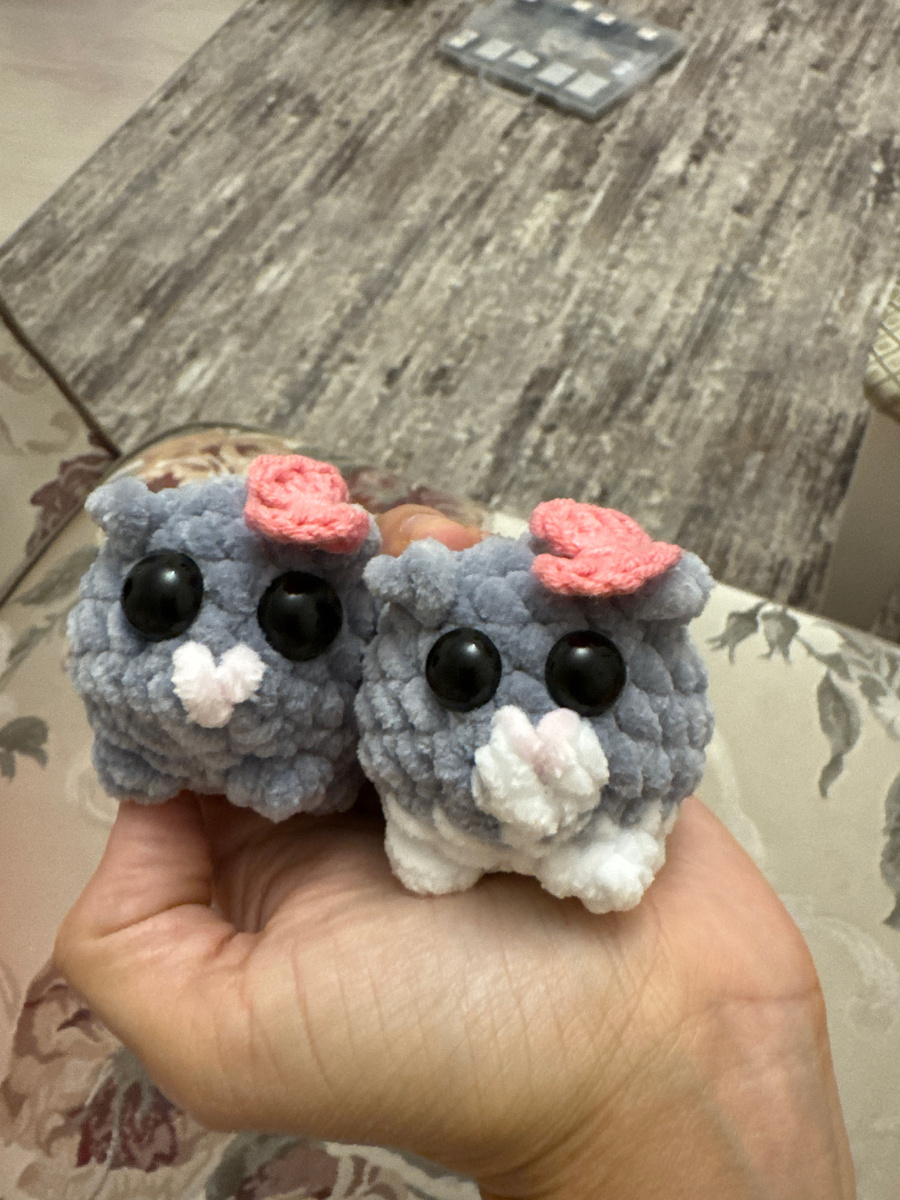 фото автора