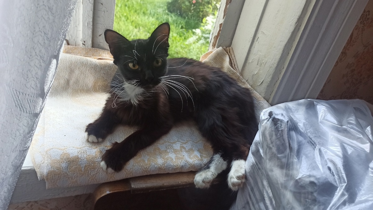 Это я тут уже обросла