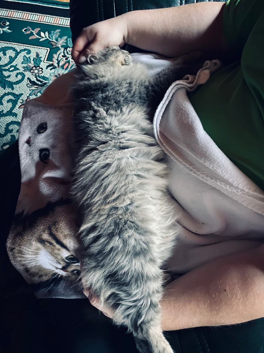 Поза "Кабачок" на ручках у хозяина.