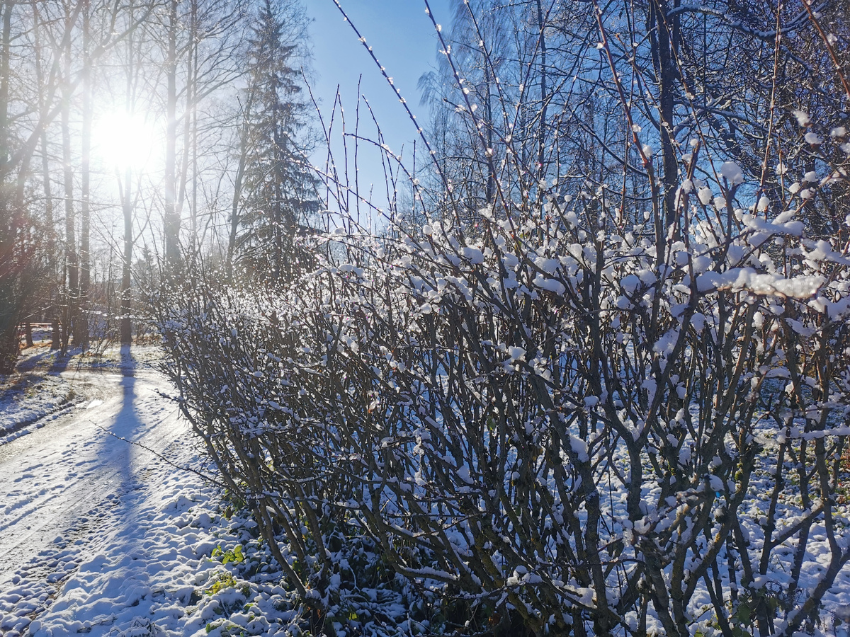 Все фотографии — Антон Успенский. 04.11.24