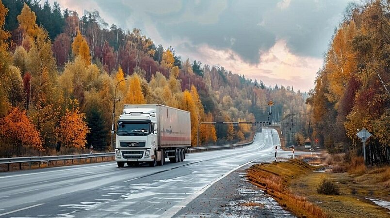 Фото: freepik.com