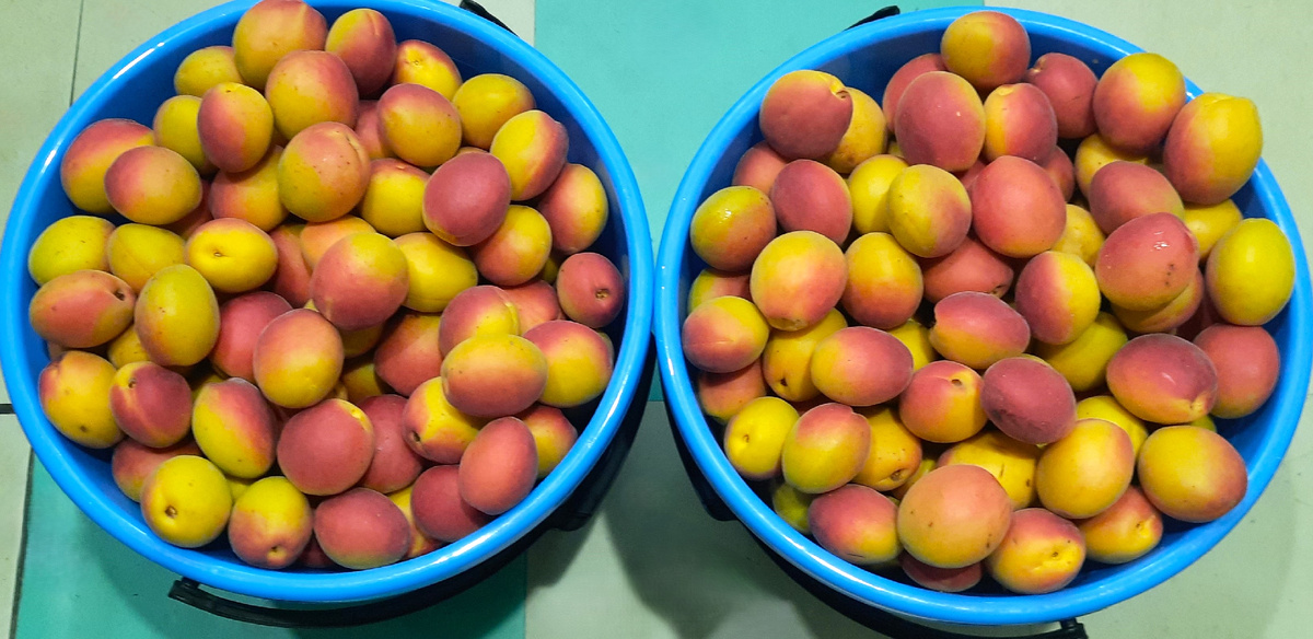 Один к одному.