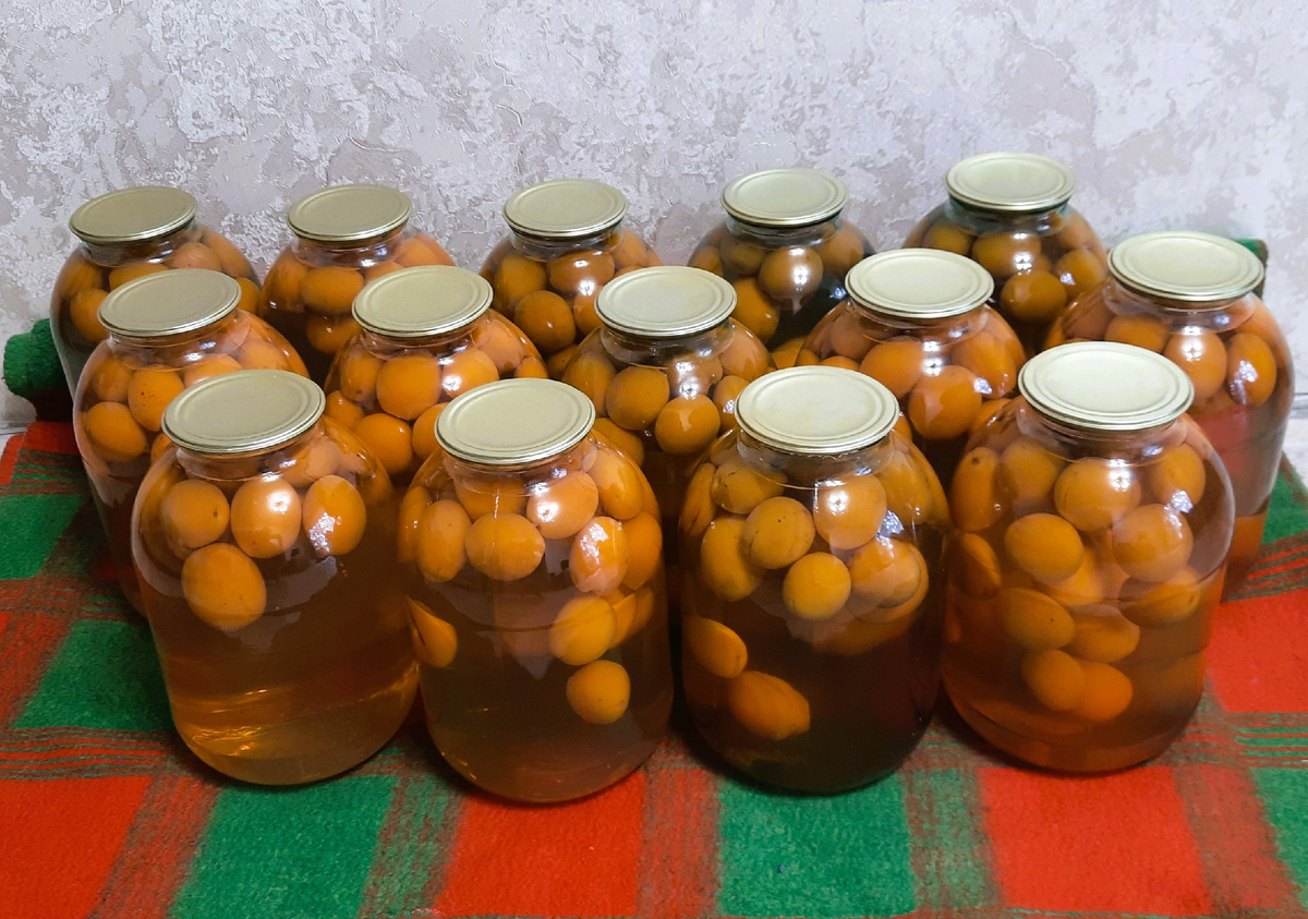 Накрывала их теплым одеялом, чтобы прогрелись и окончательно заварились.