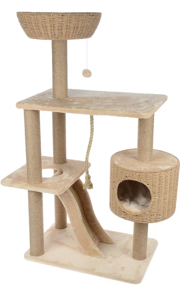 Фото из открытых источников сети интернет 