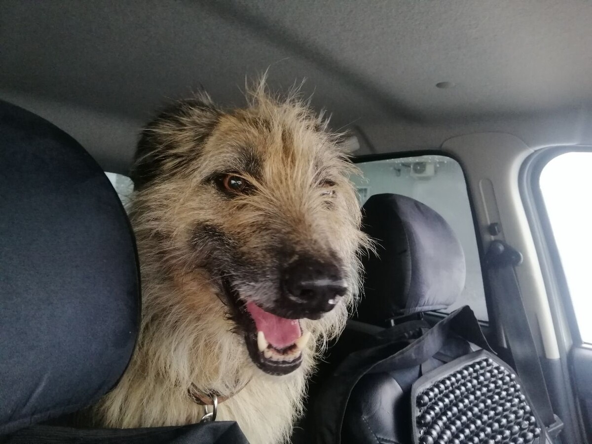 Бася- сплошной позитив.