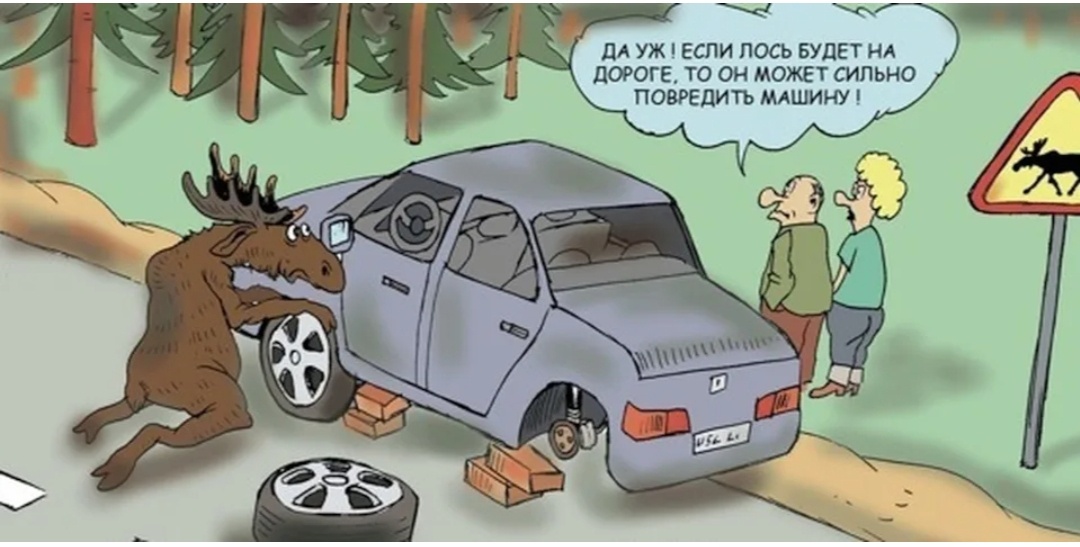 Картинка из интернета.