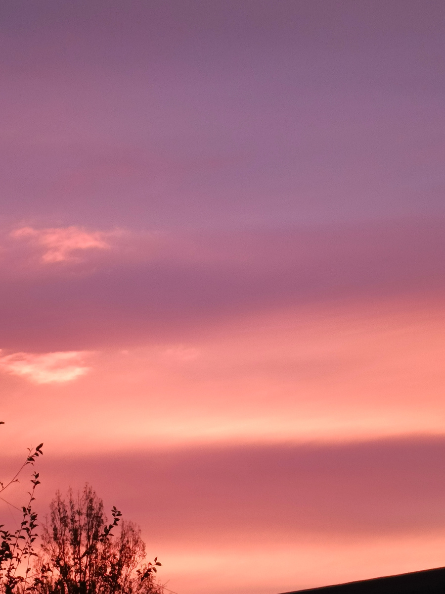 Рассвет. Вид из окна