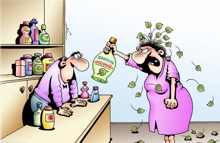 Источник Яндекс картинки