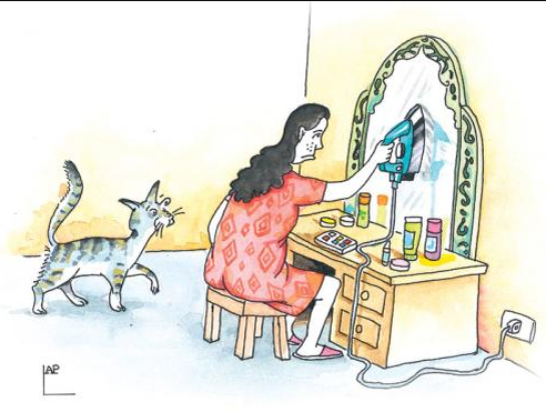 Источник Яндекс картинки