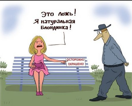 Источник Яндекс картинки