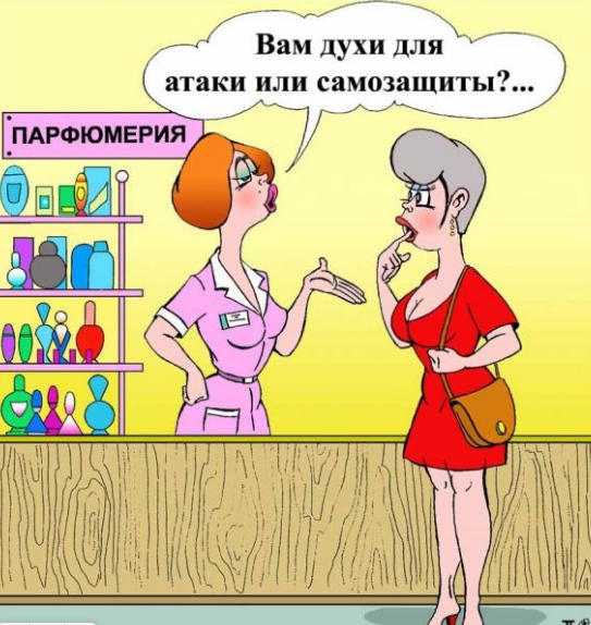 Источник Яндекс картинки