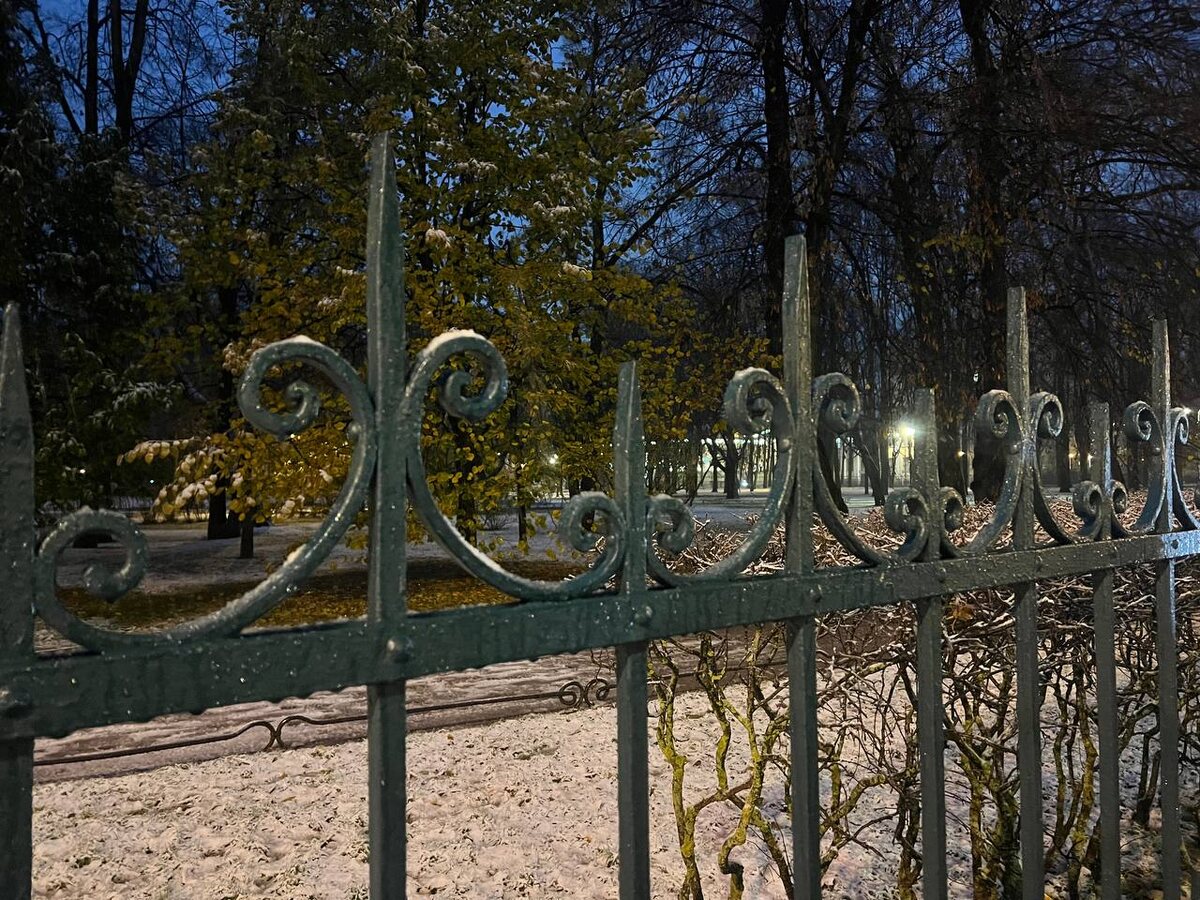 Поздняя осень в Петербурге