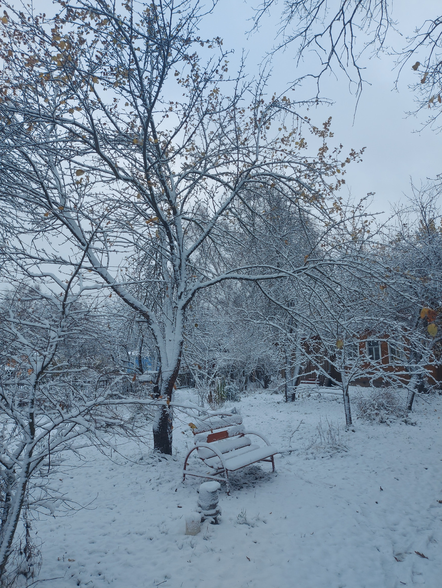 Ёлки! Скамейку забыли убрать в сарай. А всё время убирали.