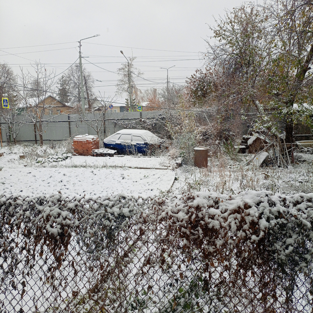 Фото автора канала 4 ноября 2024