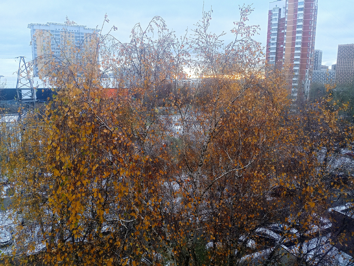 Вид из окна.